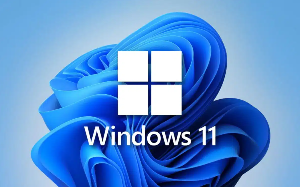 Microsoft Windows 11 Pro